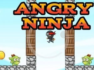 Angry Ninja Online Game