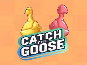 Catch The Goose - Puzzle Elimination Game