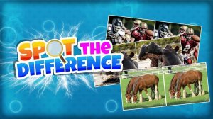 Spot the Difference: Picture Puzzle Game